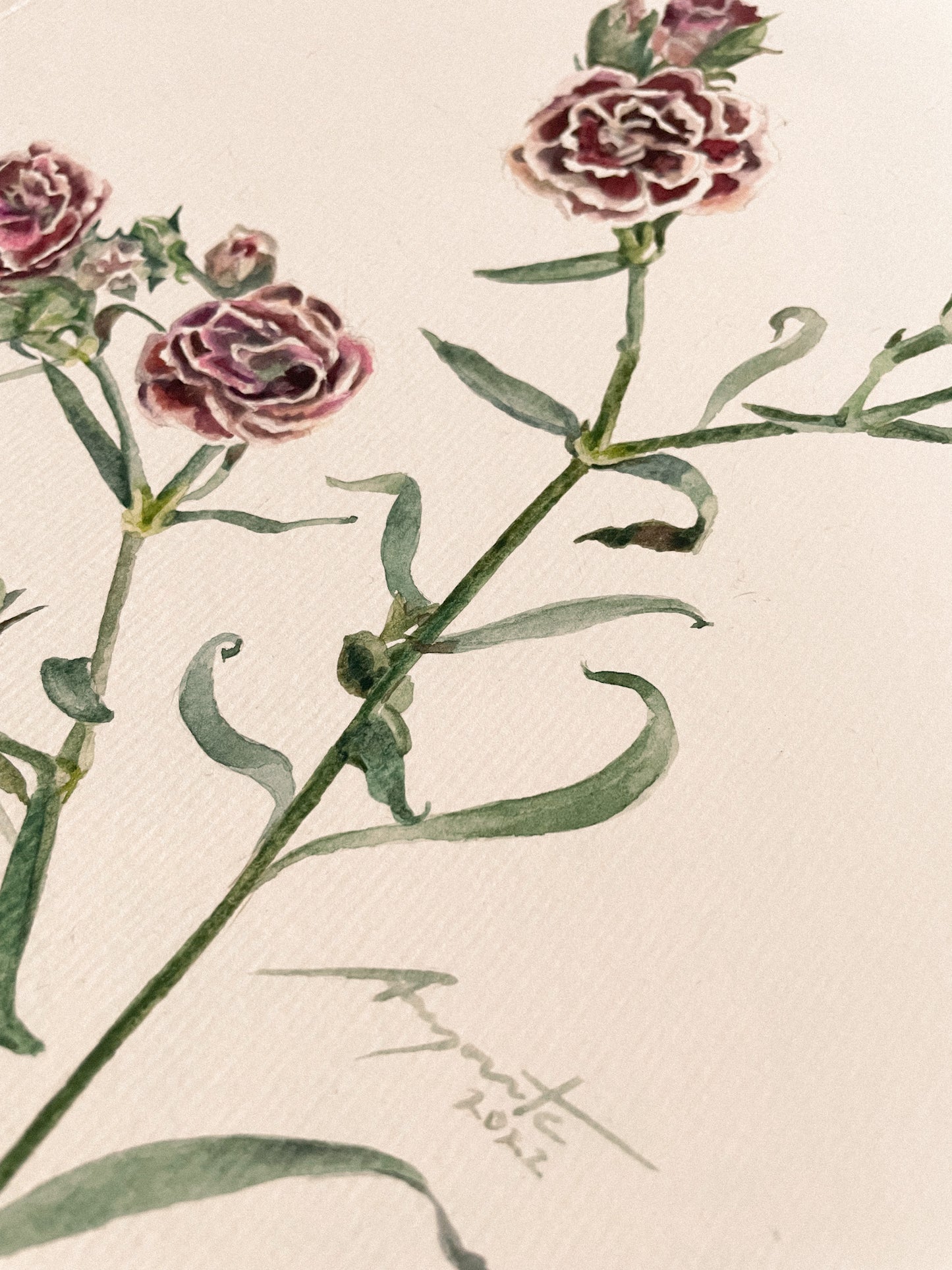 Original Painting Crimson Dianthus