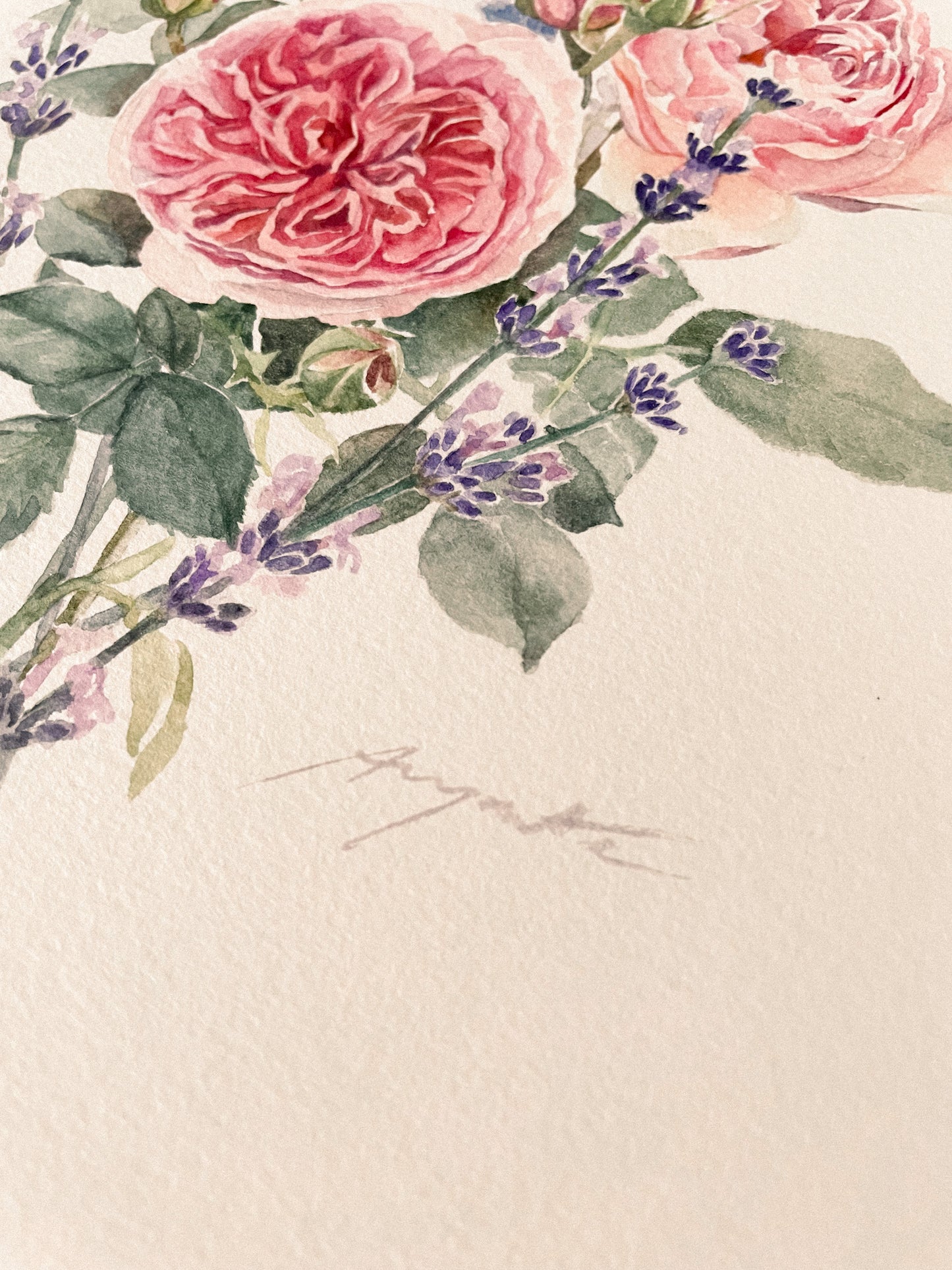 Original Painting English Rose