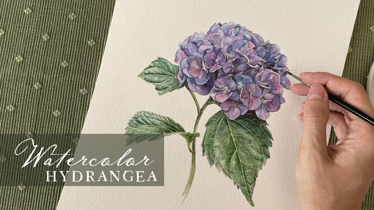 Načíst video: Watercolor hydrangea realistic painting time lapse advanced watercolor technique