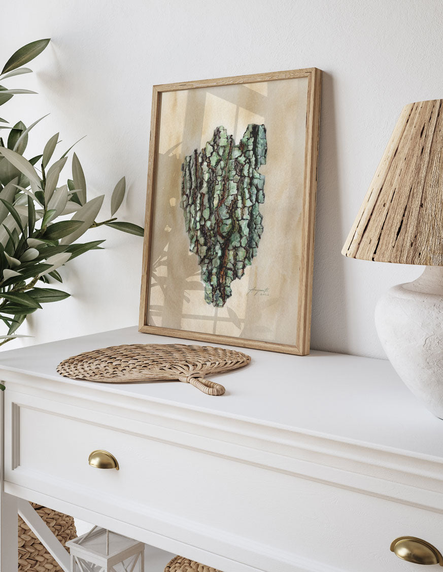 Quercus Oak Bark Vintage Archival Print