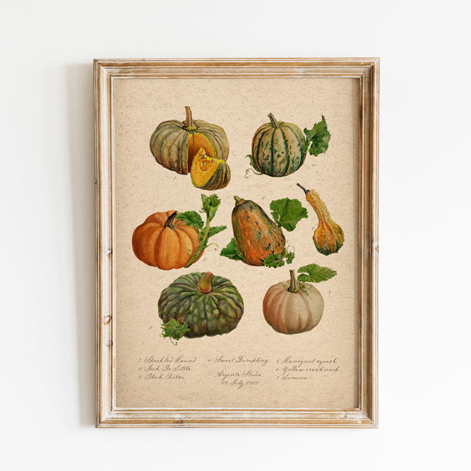 Pumpkin Patch Vintage Poster Print