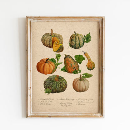 Pumpkin Patch Vintage Poster Print