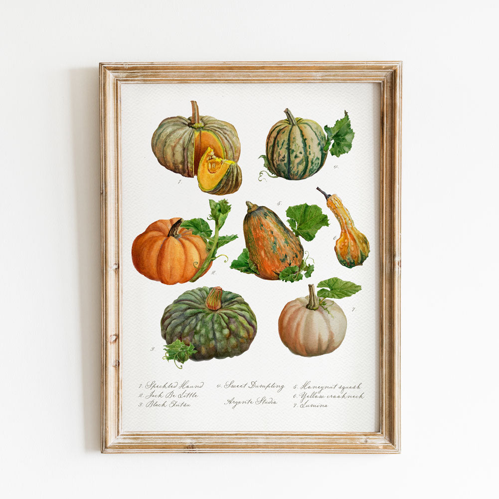 Pumpkin Patch Vintage Poster Print