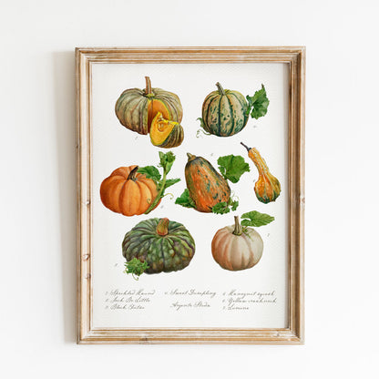 Pumpkin Patch Vintage Poster Print
