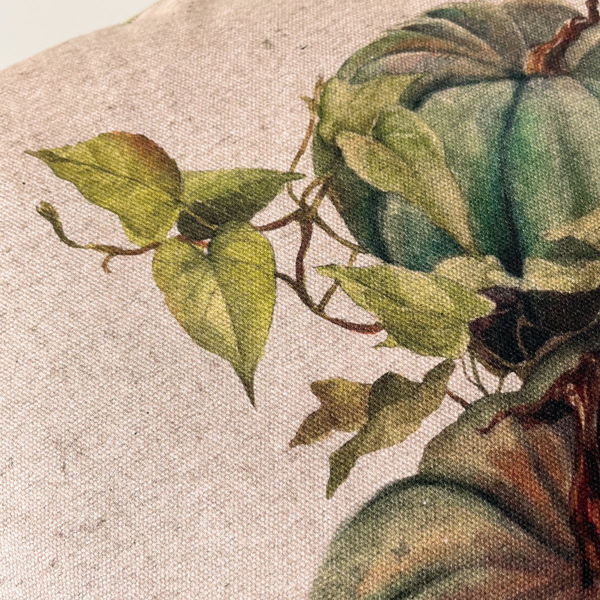vintage pumpkin decorative pillow cover with a botanical-style pumpkin illustration in warm autumn colours.