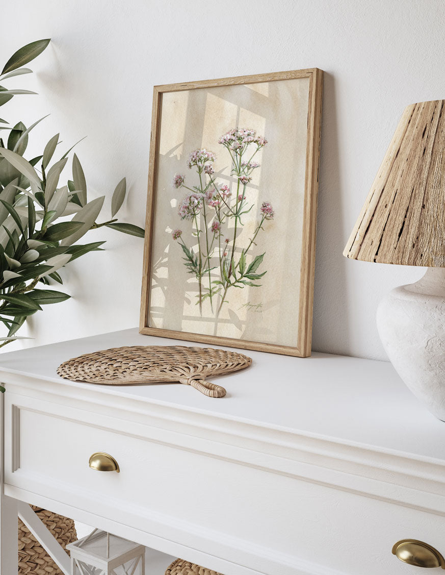 Valeriana officinalis Kozlík lékařský tisk