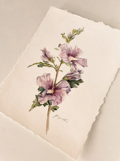Original Painting Blush Hibiscus