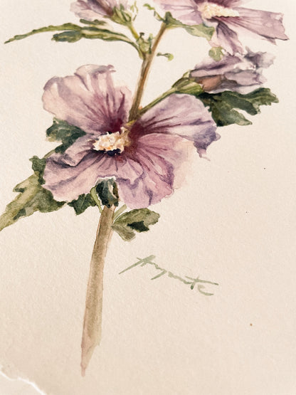 Original Painting Blush Hibiscus
