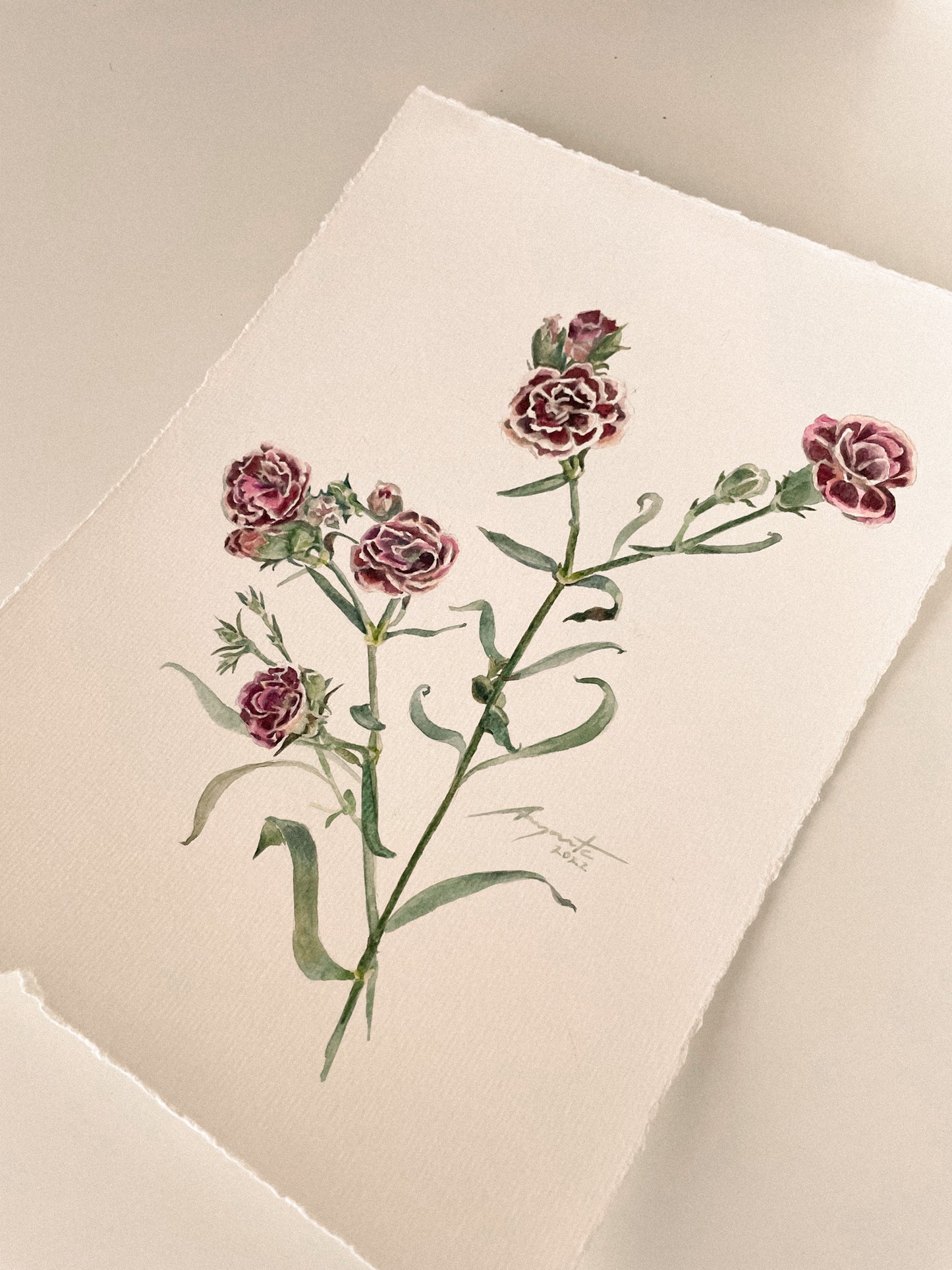 Original Painting Crimson Dianthus