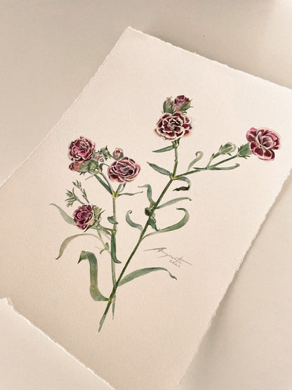 Original Painting Crimson Dianthus