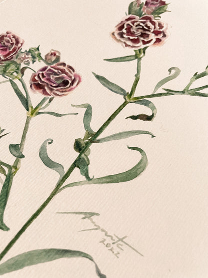 Original Painting Crimson Dianthus