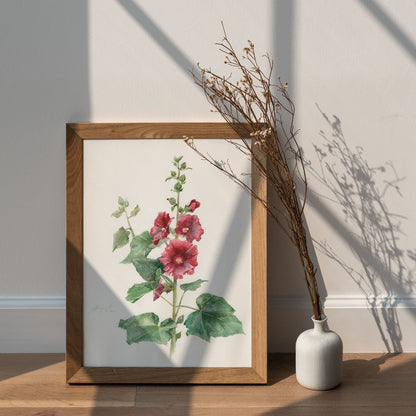 Crimson Hollyhock