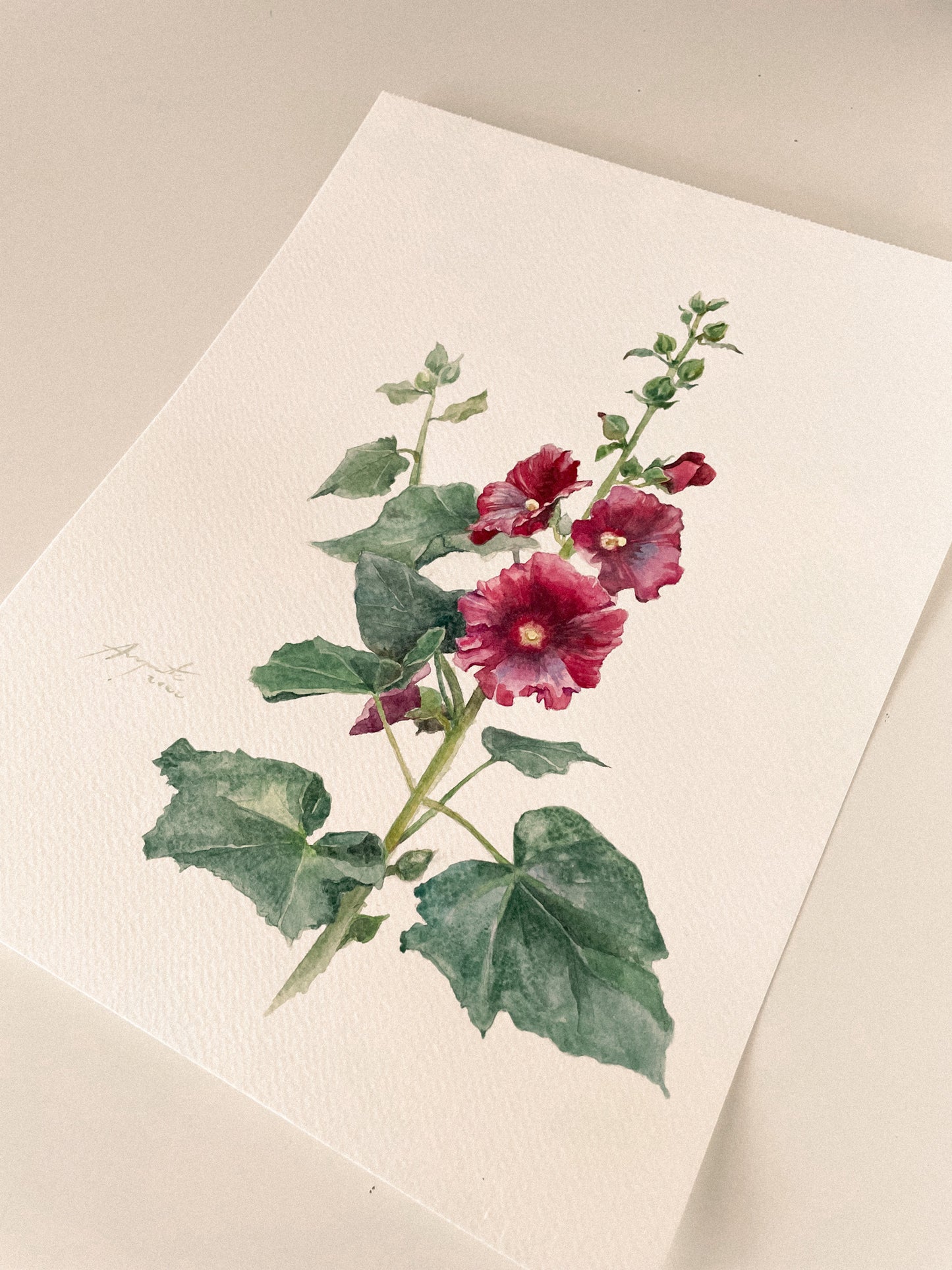 Original Painting Crimson Hollyhock