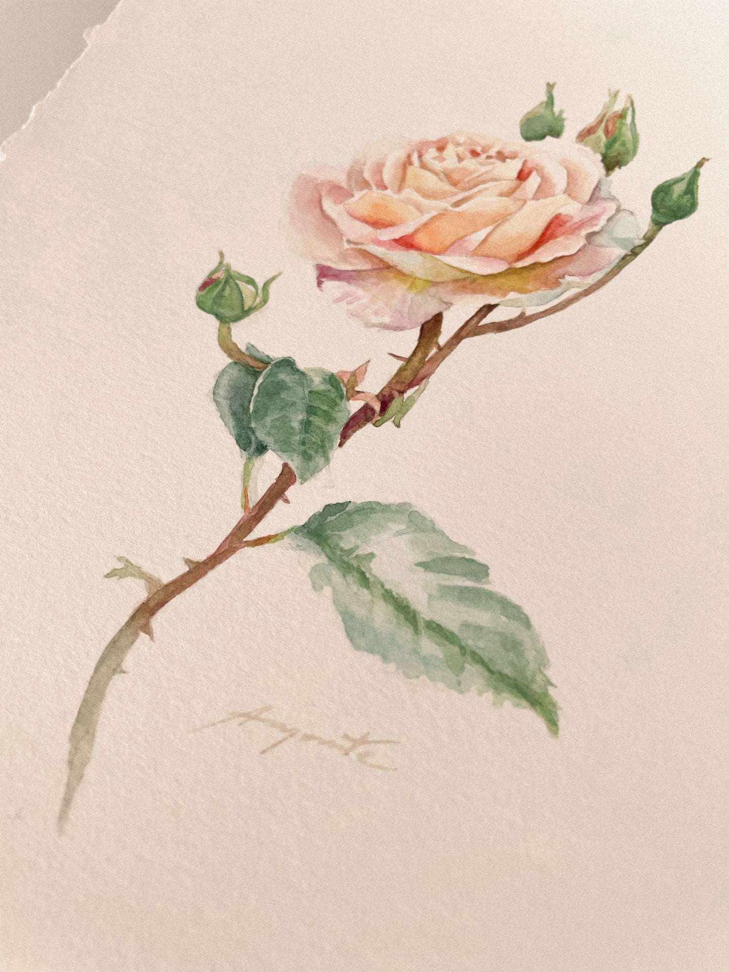 Original Painting Tea Rose Charm