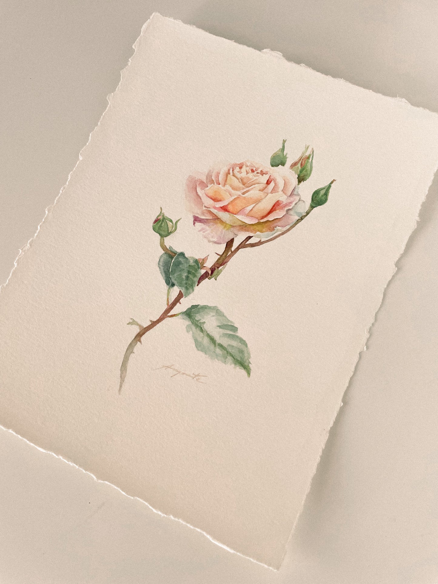 Original Painting Tea Rose Charm