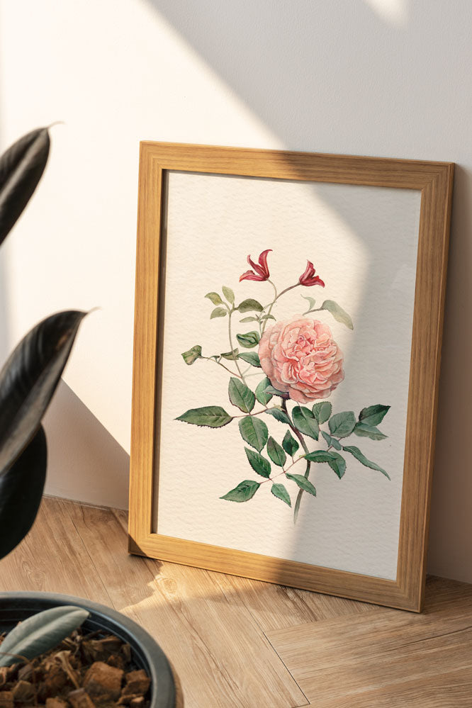 Vintage Rose Print
