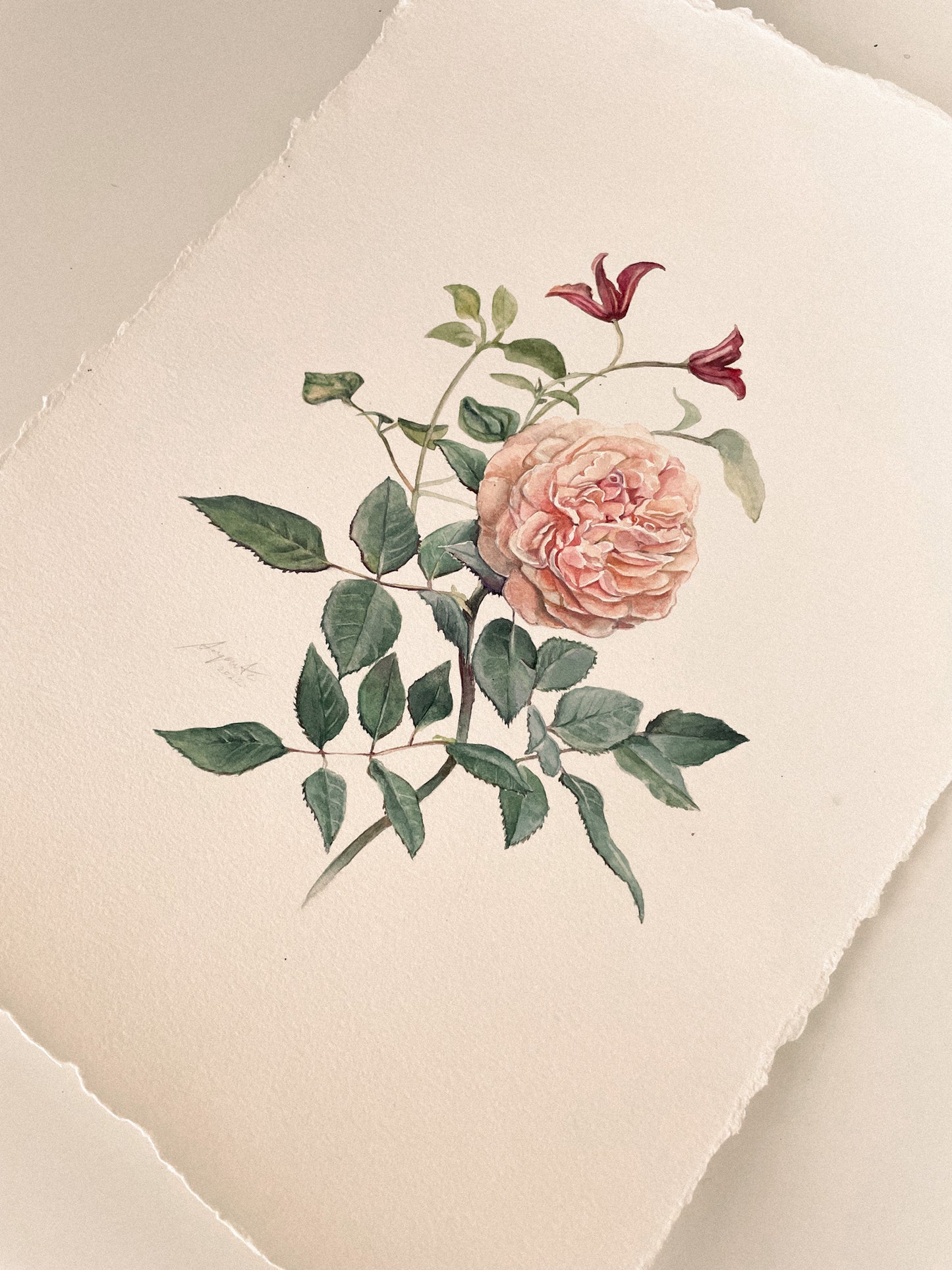 Original Painting Vintage Rose
