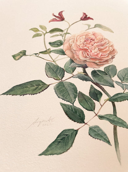 Original Painting Vintage Rose
